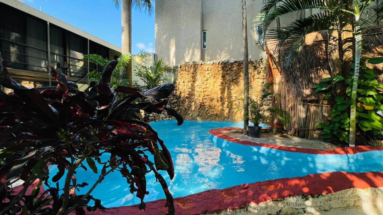 Hotel B&B - 5Th Avenue Playa del Carmen Esterno foto The pool at the hotel